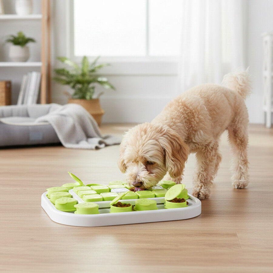 All For Paws Interactives Juguete Rompecabezas Sokudo para perros, , large Imagen numero 3