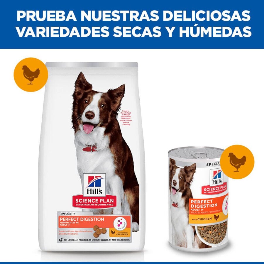 Hill&#039;s Science Plan Perfect Digestion Adult Medium Pollo pienso para perros thumbnail