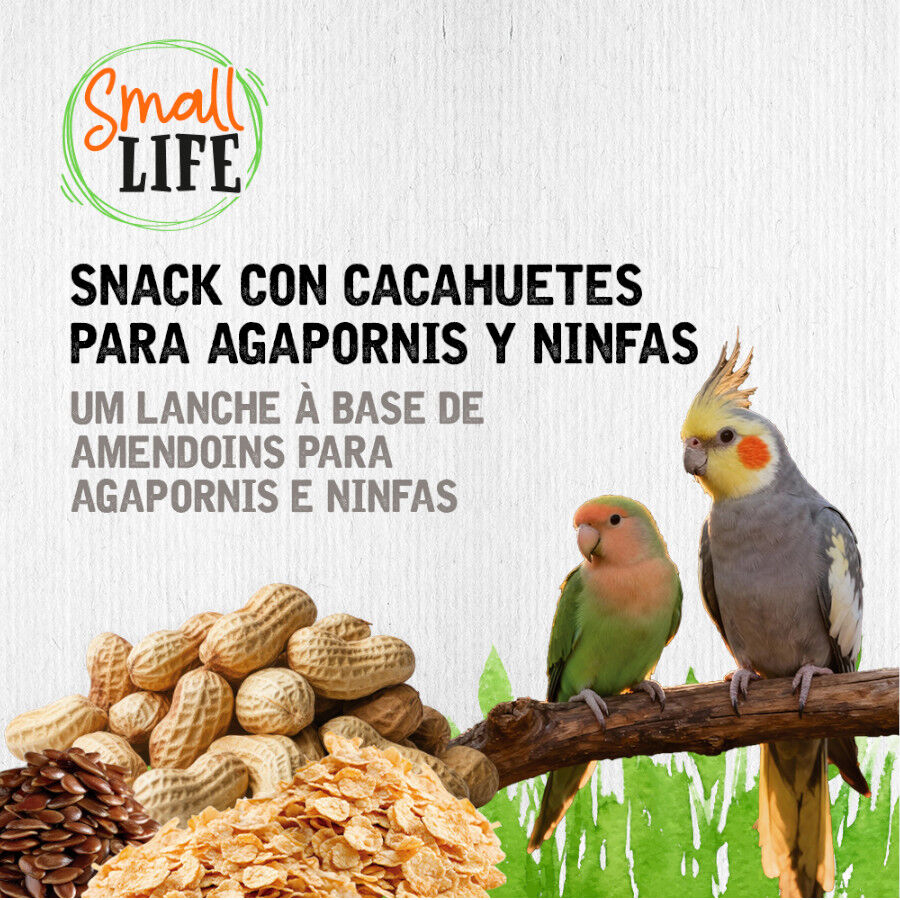 2 barritas Small Life Barritas Snack con cacahuetes para agapornis y ninfas, , large Imagen numero 4