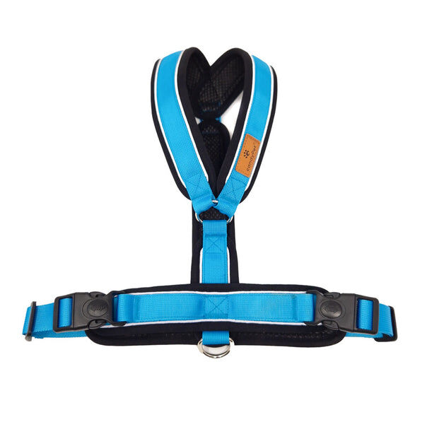 Arn&eacute;s Reflectante Anti-Tirones en Forma "Y"- Ideal para Lebreles: Galgo Italiano, Whippet, Galgo, Podenco - Seguro, Transpirable y Duradero - Perfecto para Caminar, Entrenar y Correr - CELESTE, XL, , large Imagen numero 1