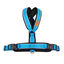 Arnés Reflectante Anti-Tirones en Forma "Y"- Ideal para Lebreles: Galgo Italiano, Whippet, Galgo, Podenco - Seguro, Transpirable y Duradero - Perfecto para Caminar, Entrenar y Correr - CELESTE, XL, , large indicador imagen numero 1