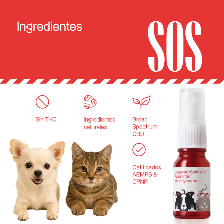 Votum World SOS Spray Calmante para perros y gatos thumbnail
