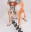 Correa CountryFox&trade; Pro &bull; Gris, , large indicador imagen numero 3