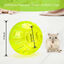 Nobleza Hamster Pelota de ejercicio 14 cm Pelota de hámster Correrde hámster Linda Mini pelota de ejercicio para hámsteres enanos para aliviar el aburrimiento y aumentar la actividad (M), , large indicador imagen numero 7