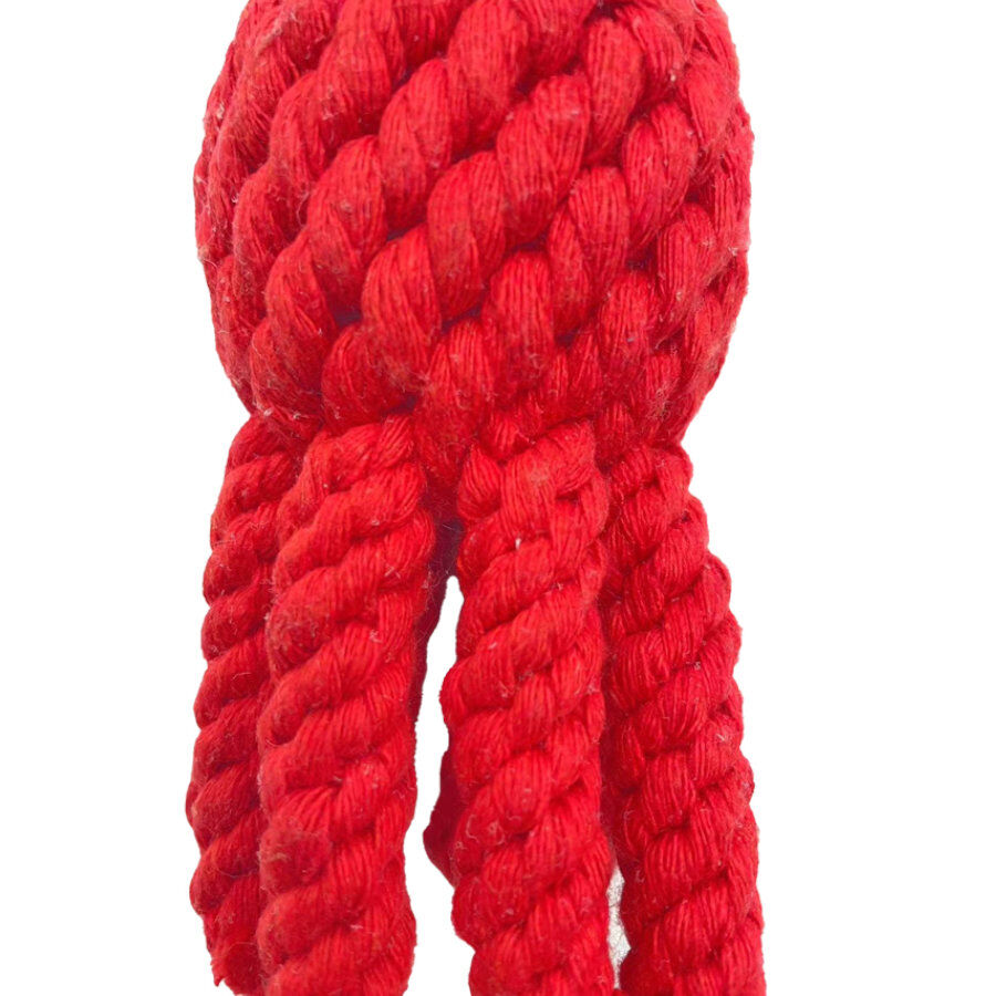 Tootoy! Comfort Octopus &amp; Sea juguete de cuerda para perros thumbnail