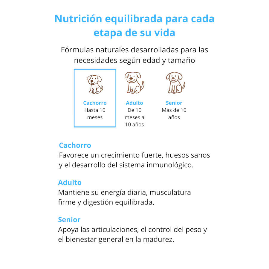 Fillip Mango Pienso Pollo y Arroz para cachorros, , large Imagen numero 4