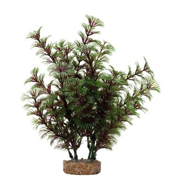 Planta artificial Cobomba Roja 20 cm color Verde, , large image number null