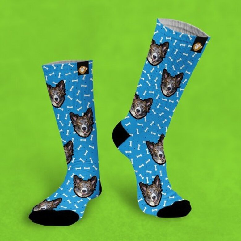 Calcetines personalizados Doggy 3 mascotas color Azul, , large image number null