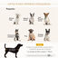 PawHut Sofá para Perros Gris Claro, , large indicador imagen numero 4