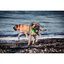 Orbiloc Dog Dual Luz de Seguridad Verde para perros, , large indicador imagen numero 2