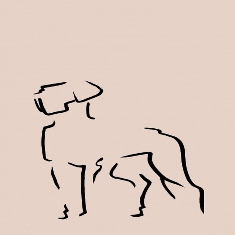 Ilustración de Dogo A4 sin marco color Rosa, , large image number null