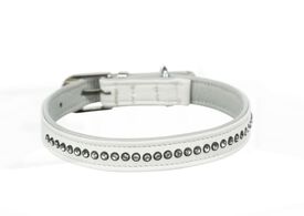 Trixie Active Comfort Collar de Piel para perros