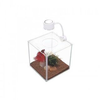 Marina betta kit cubus color Transparente