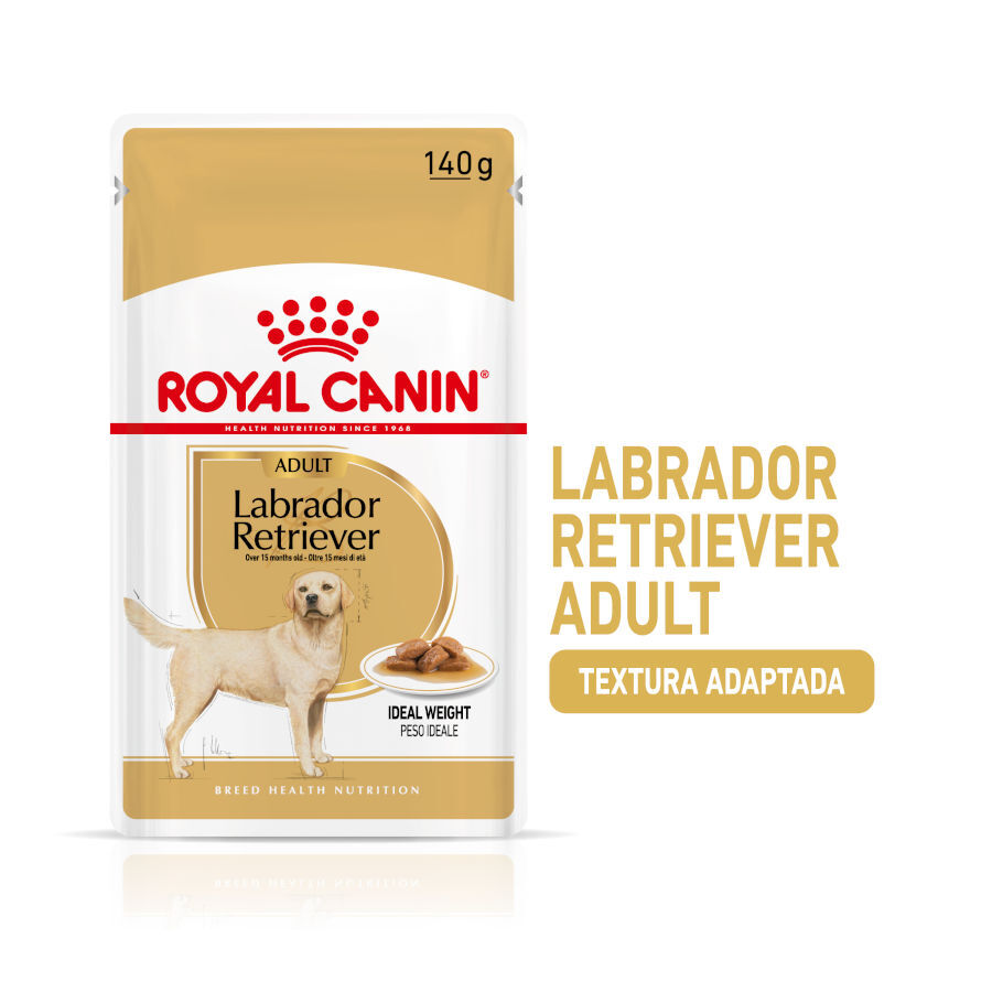Royal Canin Labrador Sobres para perros thumbnail