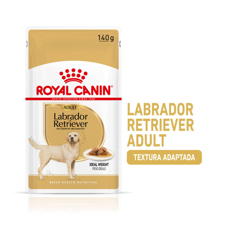 Royal Canin Labrador Sobres, , large image number null