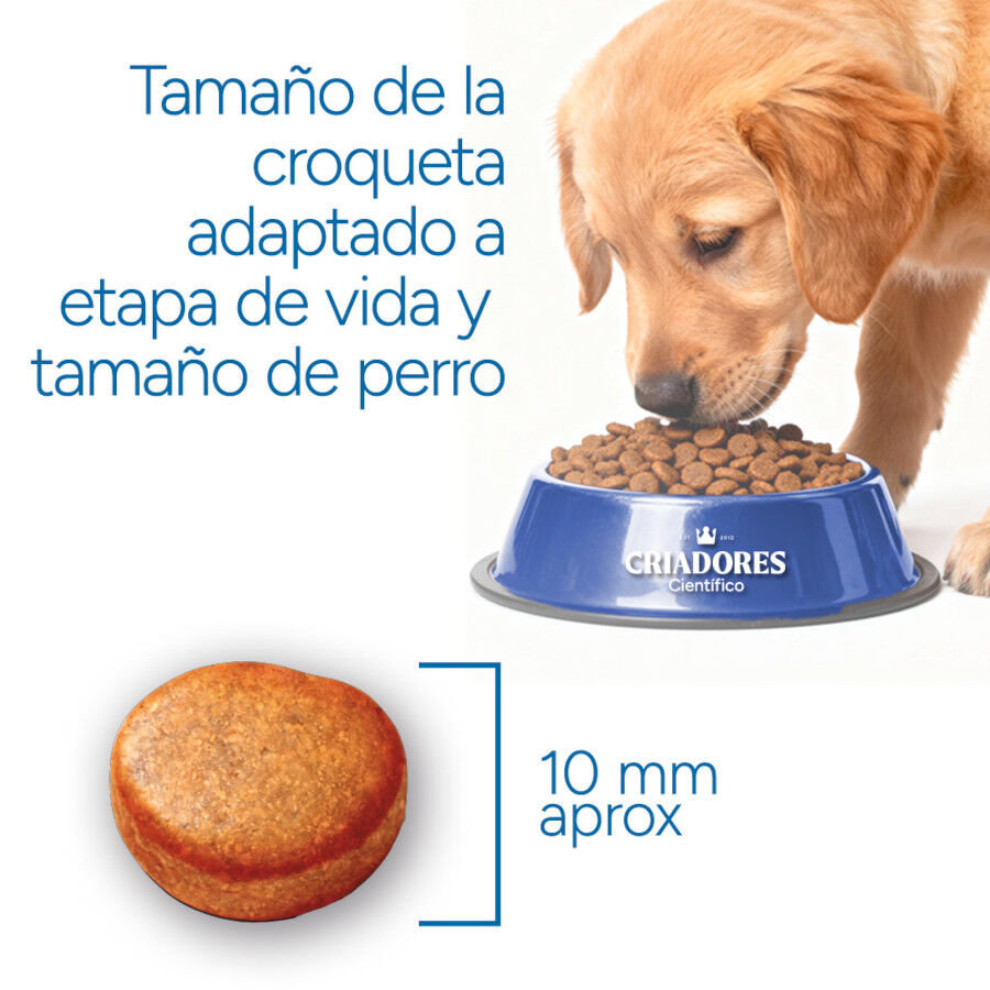 Criadores Cient&iacute;fico Sensitive Adulto Mini Pienso Salm&oacute;n para perros, , large Imagen numero 7