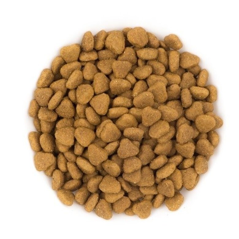 Pure farmer lamb pienso cordero y arroz para perros adultos medianos y grandes, , large image number null