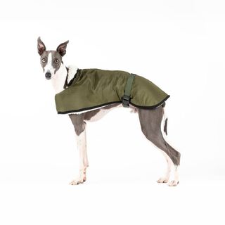 CandyPet Abrigo Impermeable para el frío y la lluvia para perros