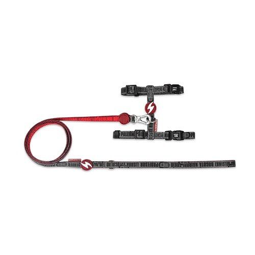 Arn&eacute;s + Correa La Casa de Papel Melted para gatos, , large Imagen numero 1