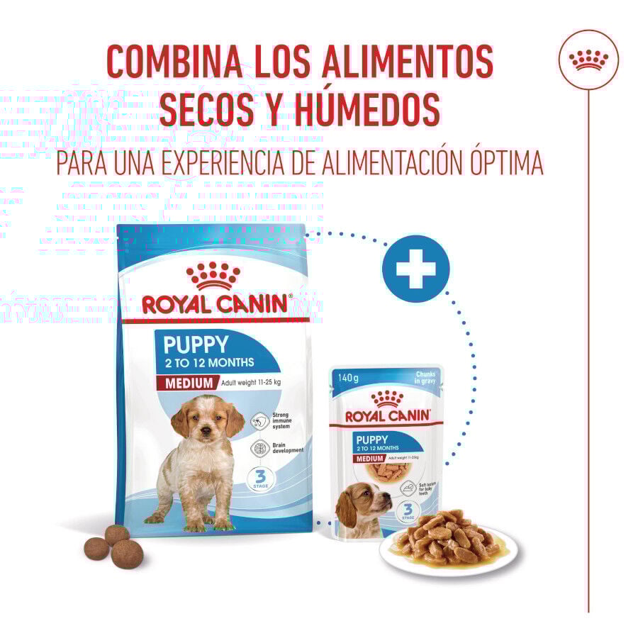 Royal Canin Puppy Medium pienso para cachorros thumbnail