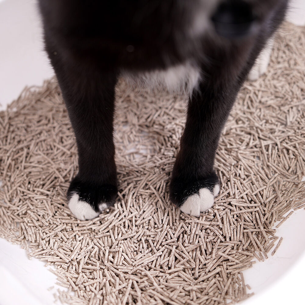 DZL Arena Tofu Café Vegetal para gatos thumbnail