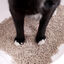 Arena para gatos de Tofu con cafe ecológico vegetal lecho Libre de polvo arena natural aglomerante, , large indicador imagen numero 5