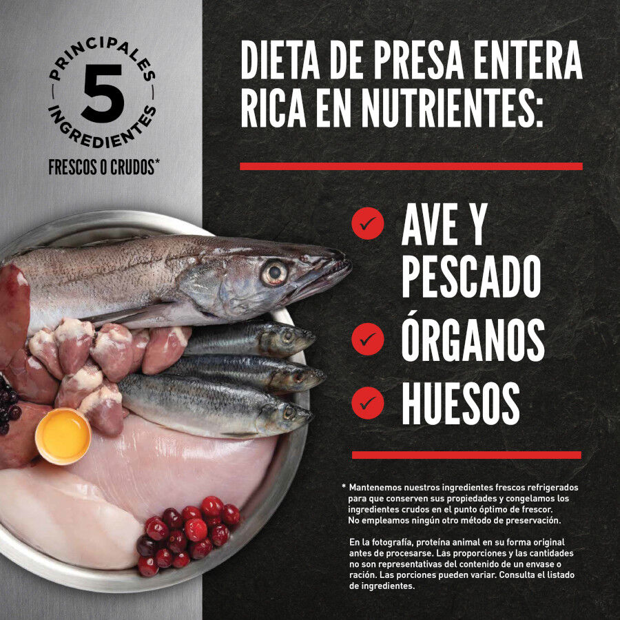 Orijen Large Breed Adult Pienso para perros thumbnail