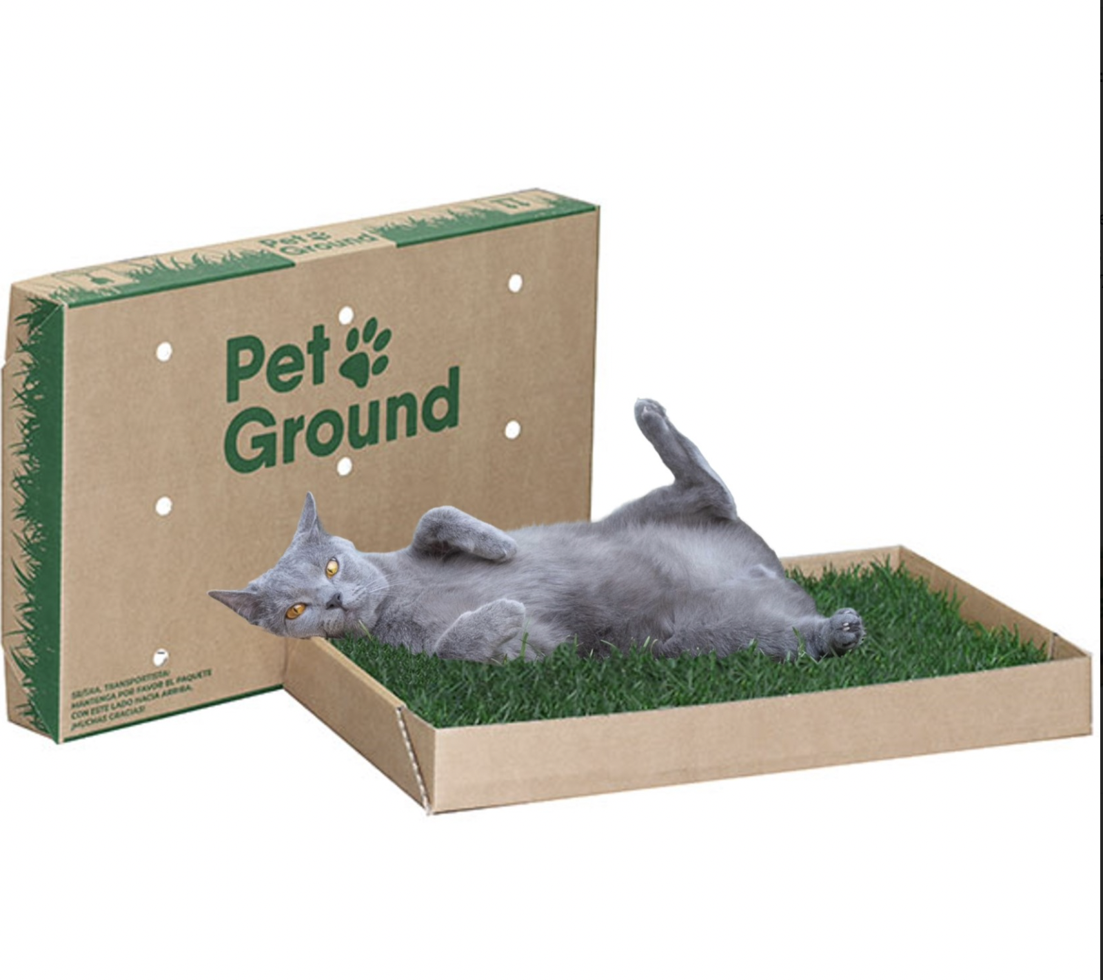 Petground, Arenero para gatos, Cama de C&eacute;sped natural, Hierba gatera, Alfombra olfativa, XXL, , large Imagen numero 2