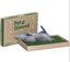 Petground, Arenero para gatos, Cama de Césped natural, Hierba gatera, Alfombra olfativa, XXL, , large indicador imagen numero 2