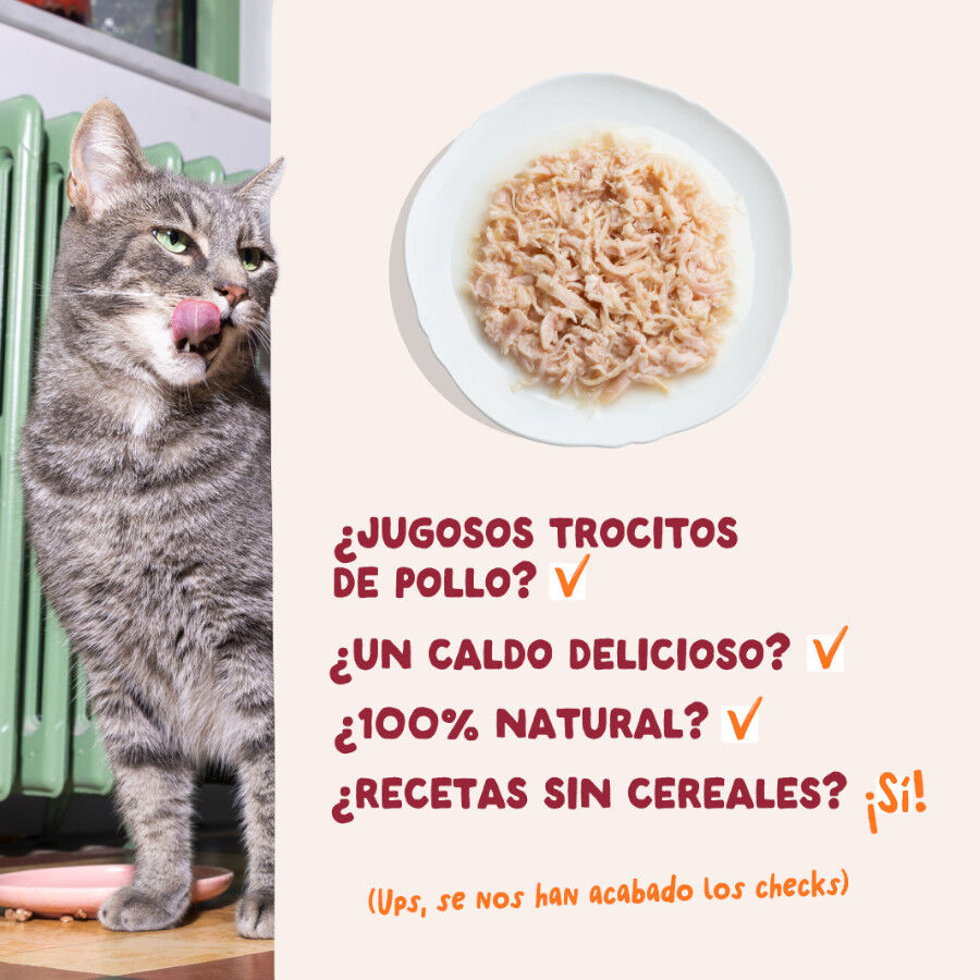 70 g Edgard & Cooper Filetes de Pollo Lata para gatos, , large Imagen numero 4