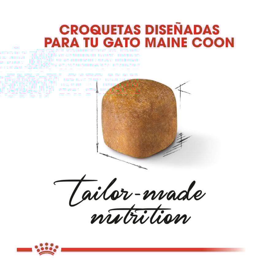 Royal Canin Kitten Maine Coon pienso para gatos thumbnail