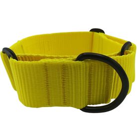 El Galguito Valiente Collar Martingale amarillo para galgos