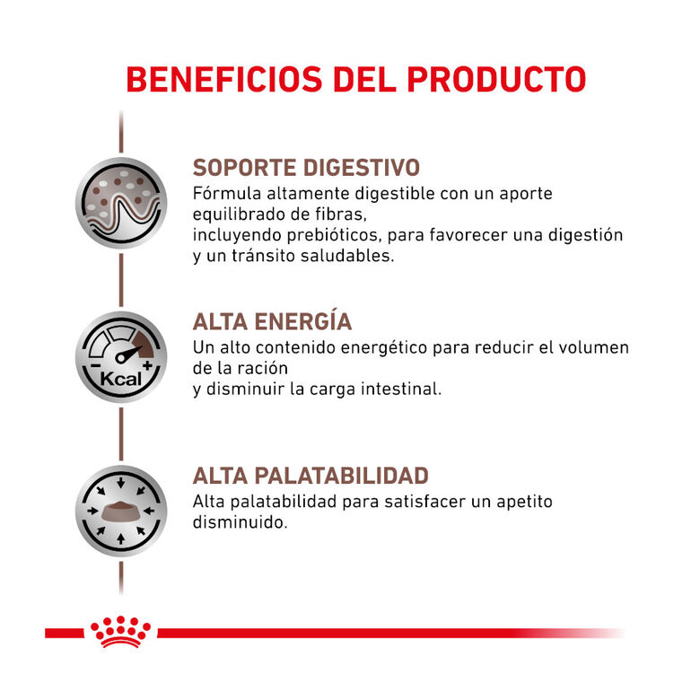 Royal Canin Veterinary Gastrointestinal sobre en salsa para gatos thumbnail