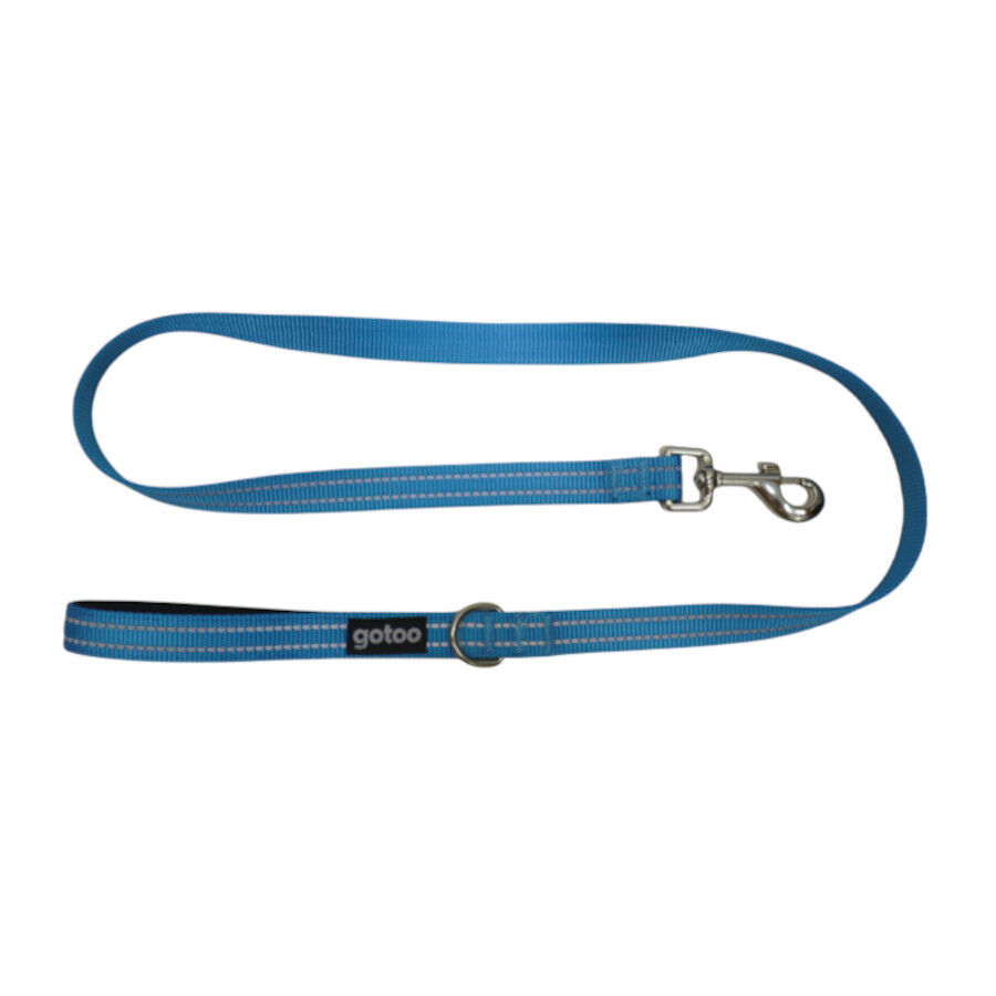 Gotoo Correa de nylon reflectante azul para perros