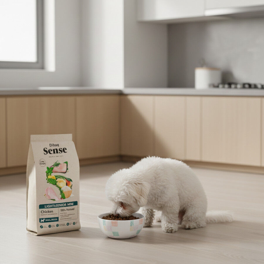2 kg Dibaq Sense Low Grain Light & Senior Mini Pollo Pienso para perros, , large Imagen numero 5