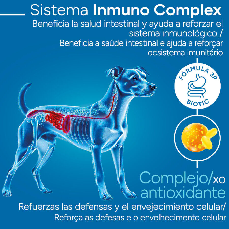 Criadores Cient&iacute;fico Adulto Mini Pienso Pollo para perros, , large Imagen numero 3