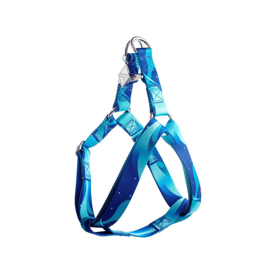 Arn&eacute;s Cl&aacute;sico para perros | Boreal - Cyan, , large Imagen numero 1