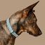Baona collar boracay multicolor para perros, , large indicador imagen numero 2