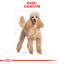 85 g Royal Canin Adult Poodle Paté sobre para perros, , large indicador imagen numero 3