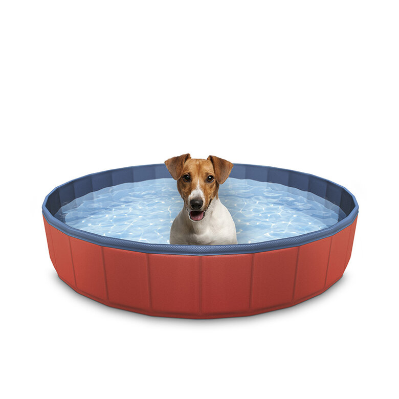 Summer Vibes Piscina para perros Plegable