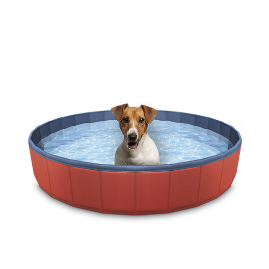  Piscina para perros, piscina plegable para mascotas