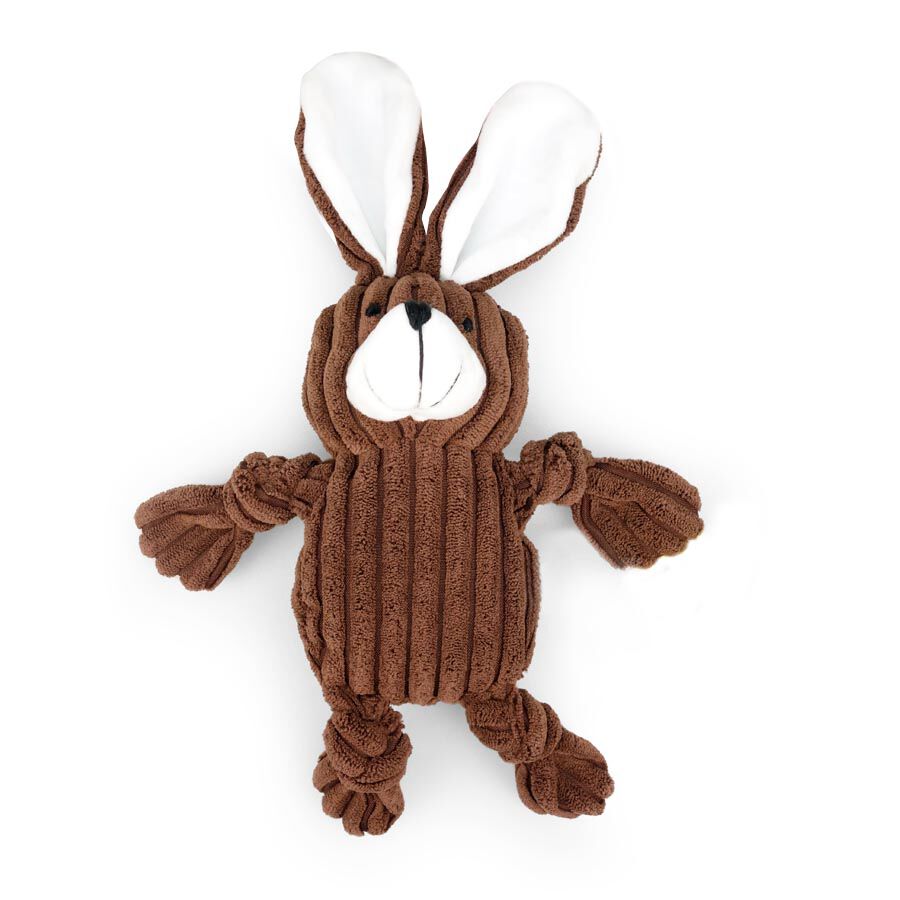 Play & Bite Oso de Peluche para perros, , large Imagen numero 1