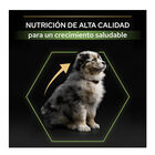 Pro Plan Puppy Medium Pollo pienso para Cachorros, , large image number null