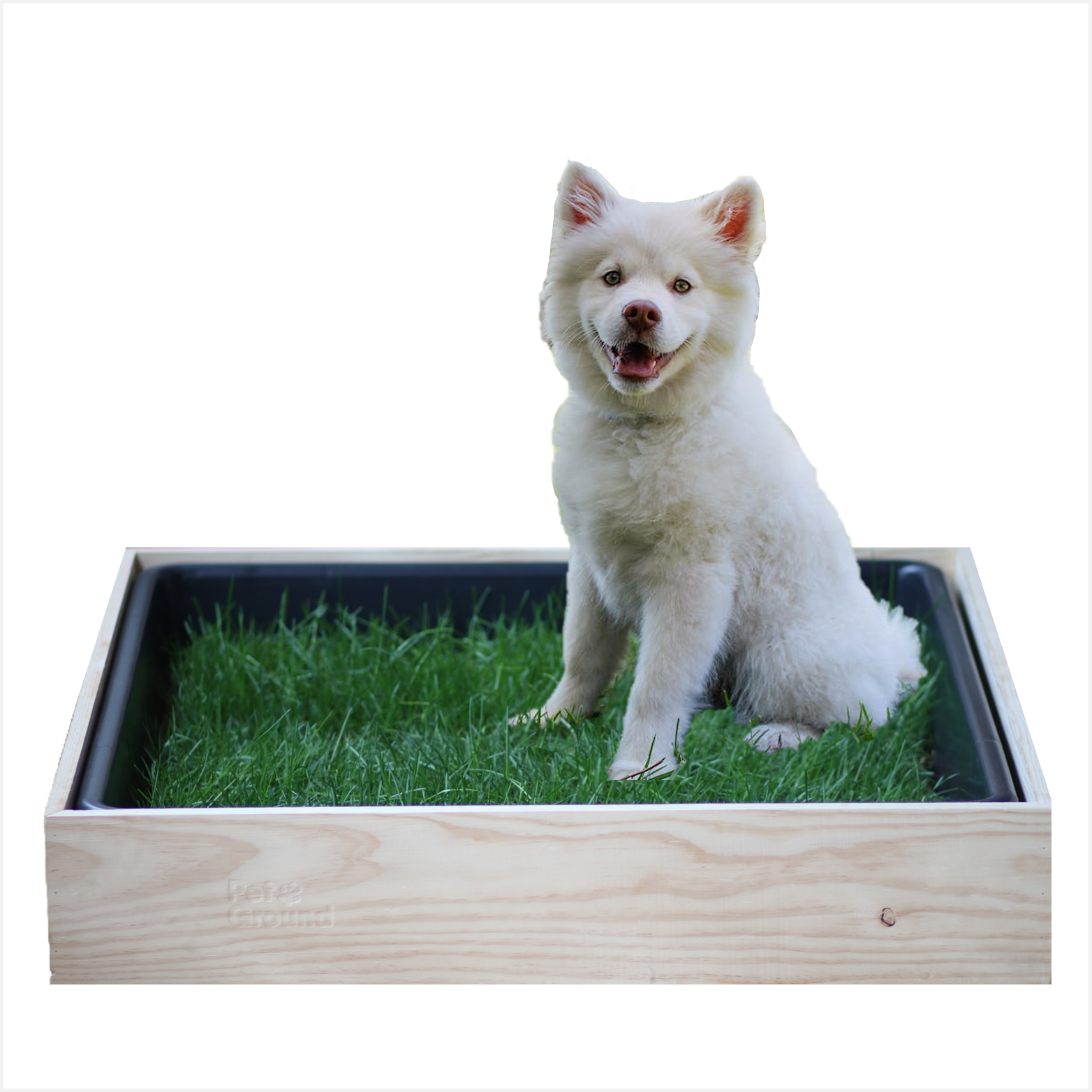 Petground Cama para Perros Caja de Madera Accesorio Mueble, , large Imagen numero 1