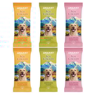PACK 24 unidades multisabor Ice Cream - 3 sabores -1200gr