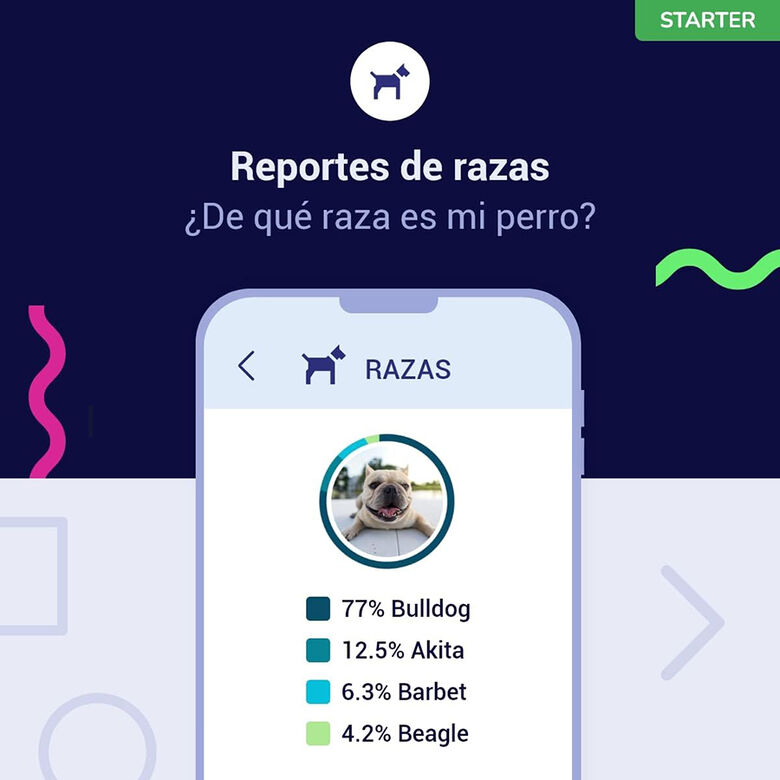 Koko Genetics Prueba De ADN Para Perros Starter thumbnail