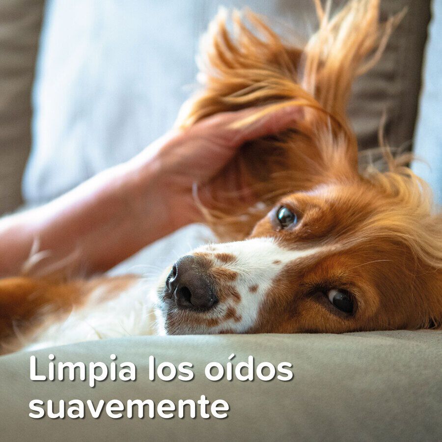 Beaphar Limpiador de O&iacute;dos para perros y gatos, , large Imagen numero 6