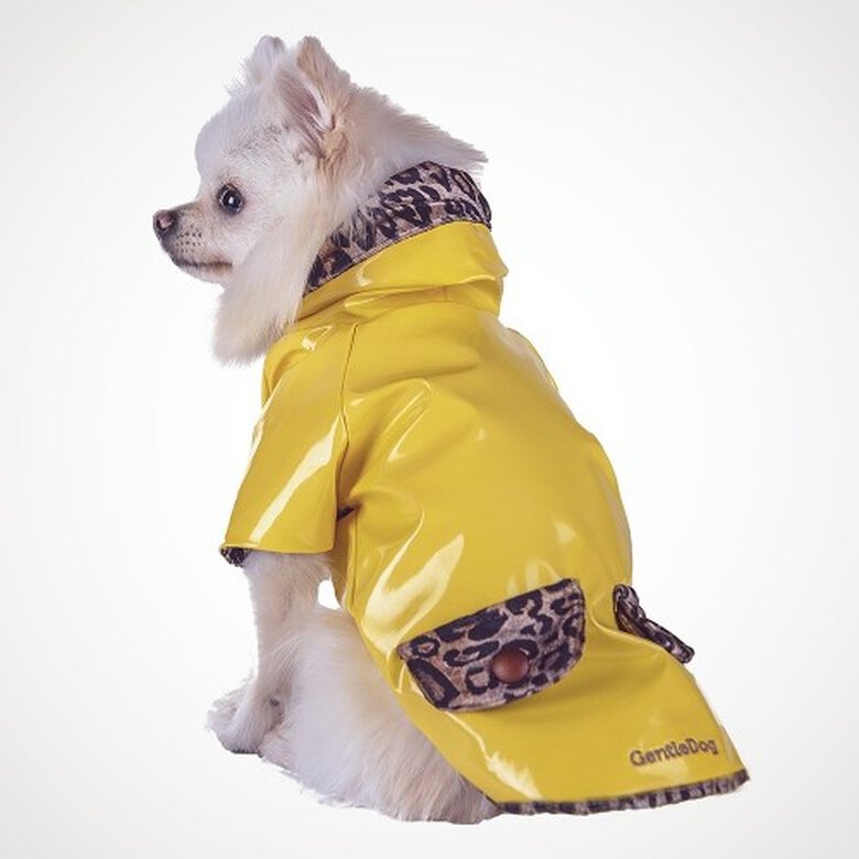 Chubasquero Lupe de diseño para perros color Amarillo, , large image number null