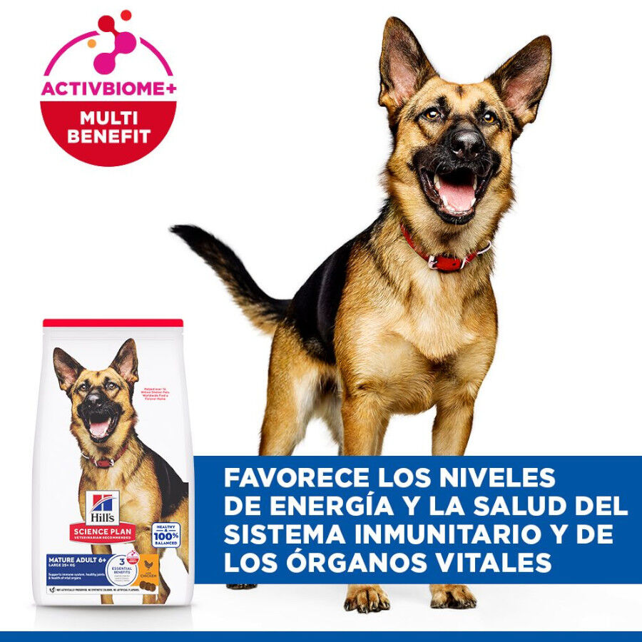18 kg Hill's Science Plan Mature Adult Large Pollo pienso para perros, , large Imagen numero 4