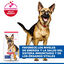 18 kg Hill's Science Plan Mature Adult Large Pollo pienso para perros, , large indicador imagen numero 4